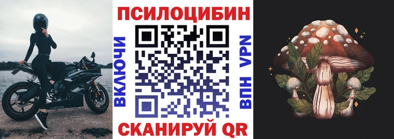 Псилоцибиновые грибы прущие грибы Лесной