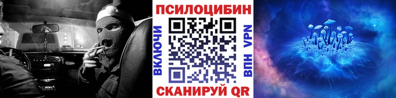 Купить закладки  Лесной  Псилоцибиновые грибы GOLDEN TEACHER 